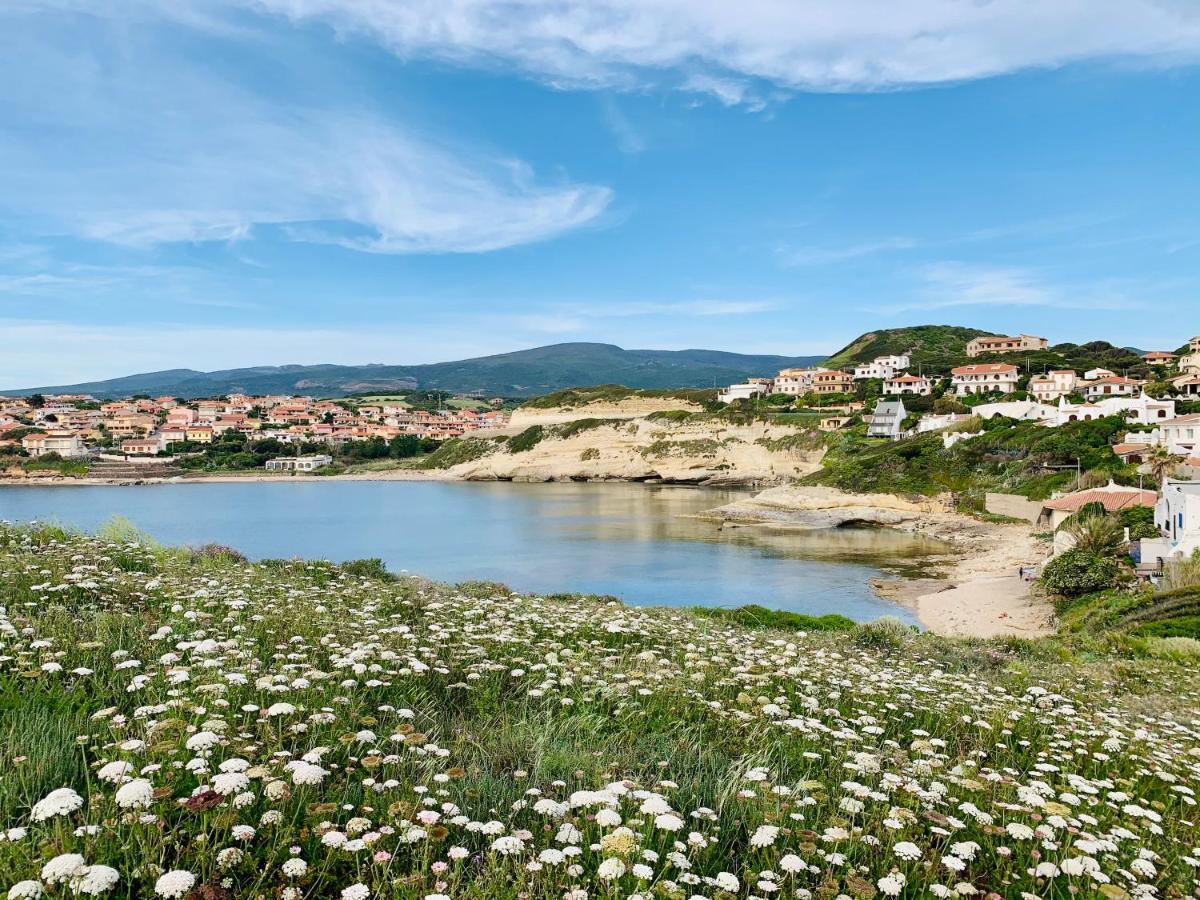 House Gallery Sardinia -Il Sogno- Кульєрі Екстер'єр фото